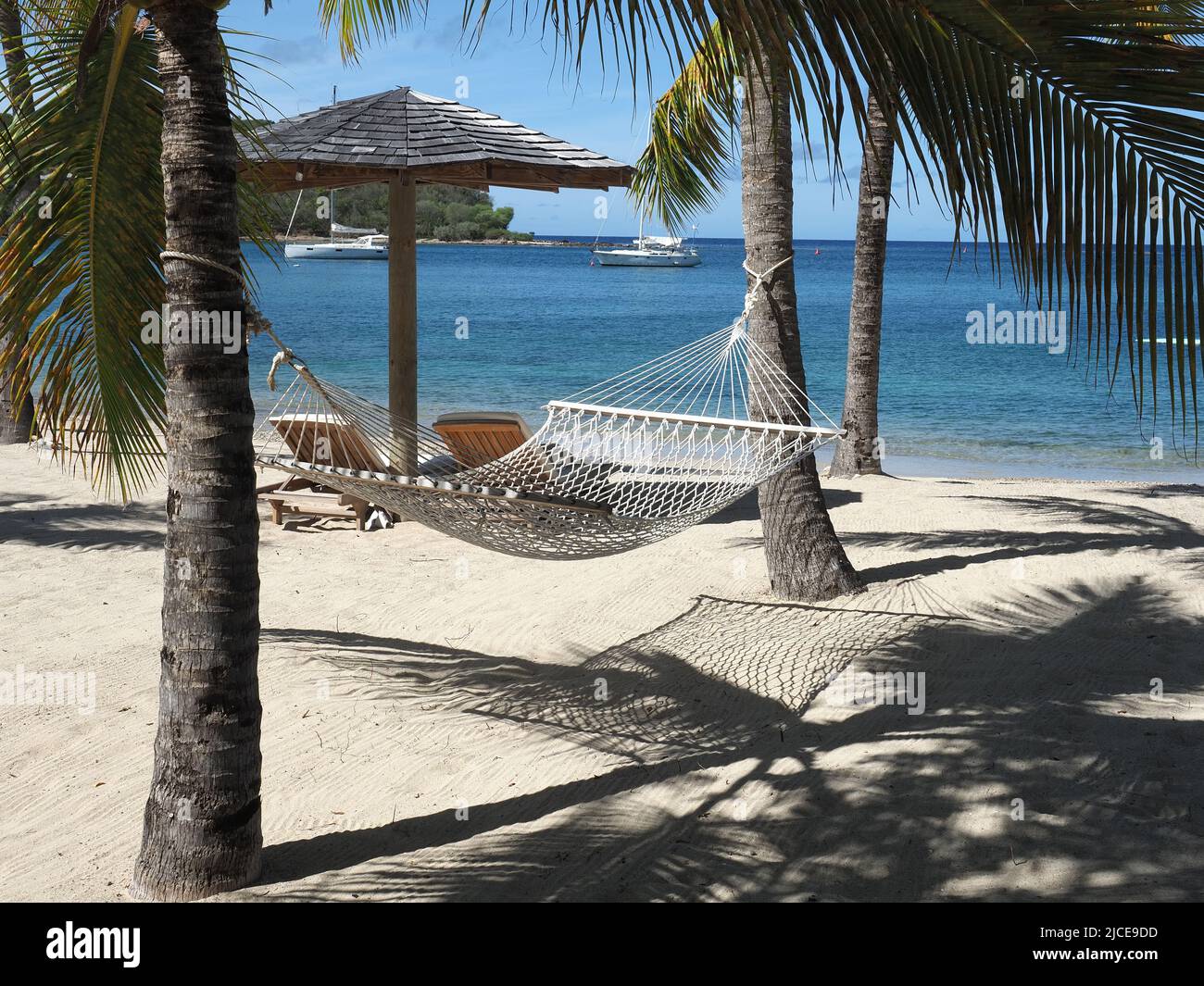 View of a hammock hanging between two palm trees on a beautiful sandy Caribbean beach in Antigua in the summer Stock Photo