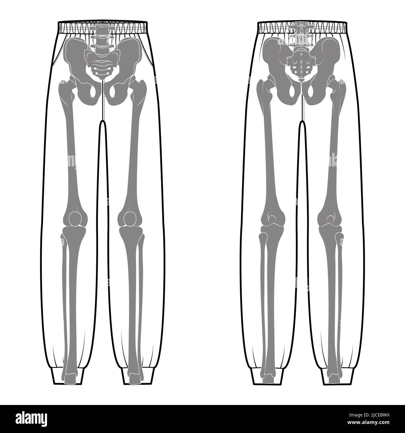 Skeleton costume on Sweatpants Human bones front back view men women children for Halloween, festivals for printing on clothes flat grey color concept Vector illustration of anatomy isolated Stock Vector