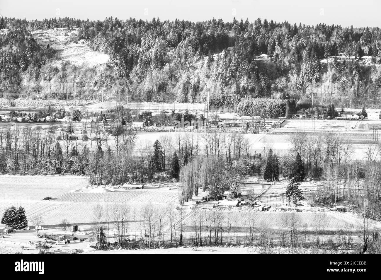 monochrome snow picture of a valley and hillside covered with evergreen trees along with farms Stock Photo