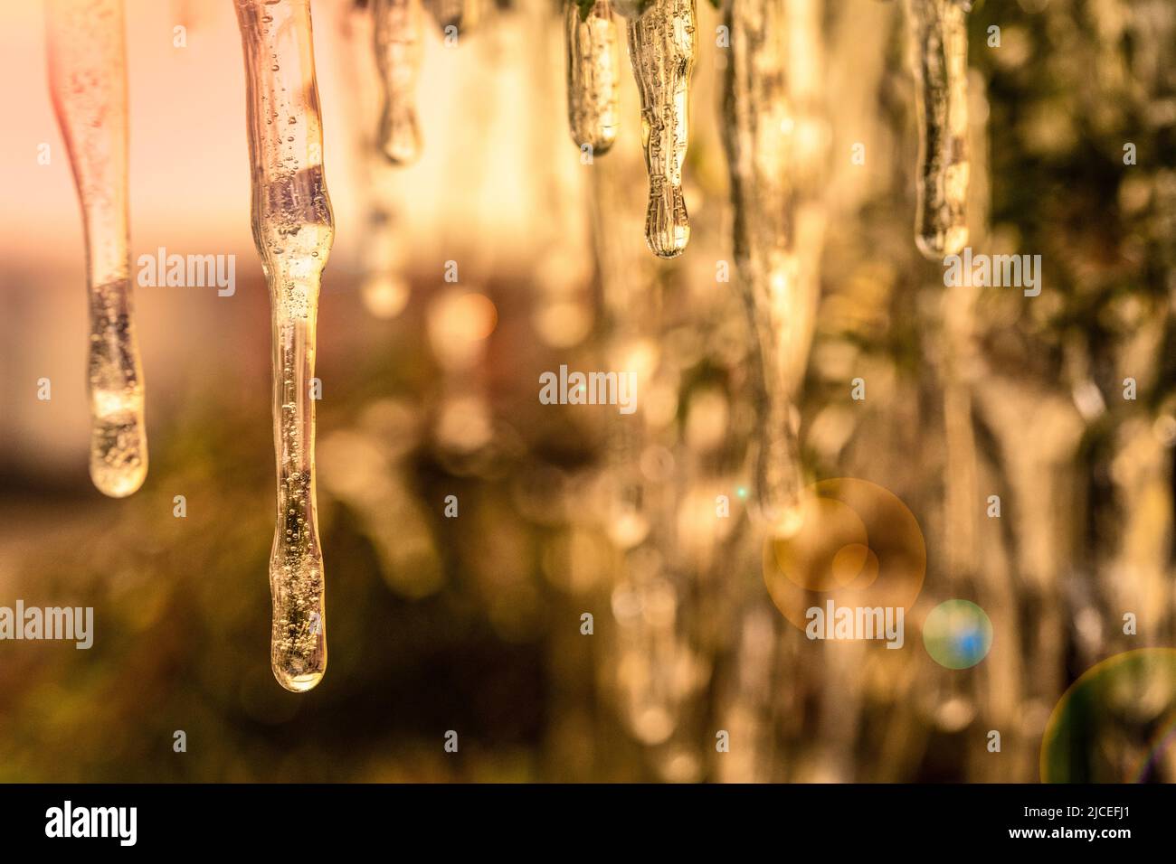 icicles in the morning light with a sun flare Stock Photo