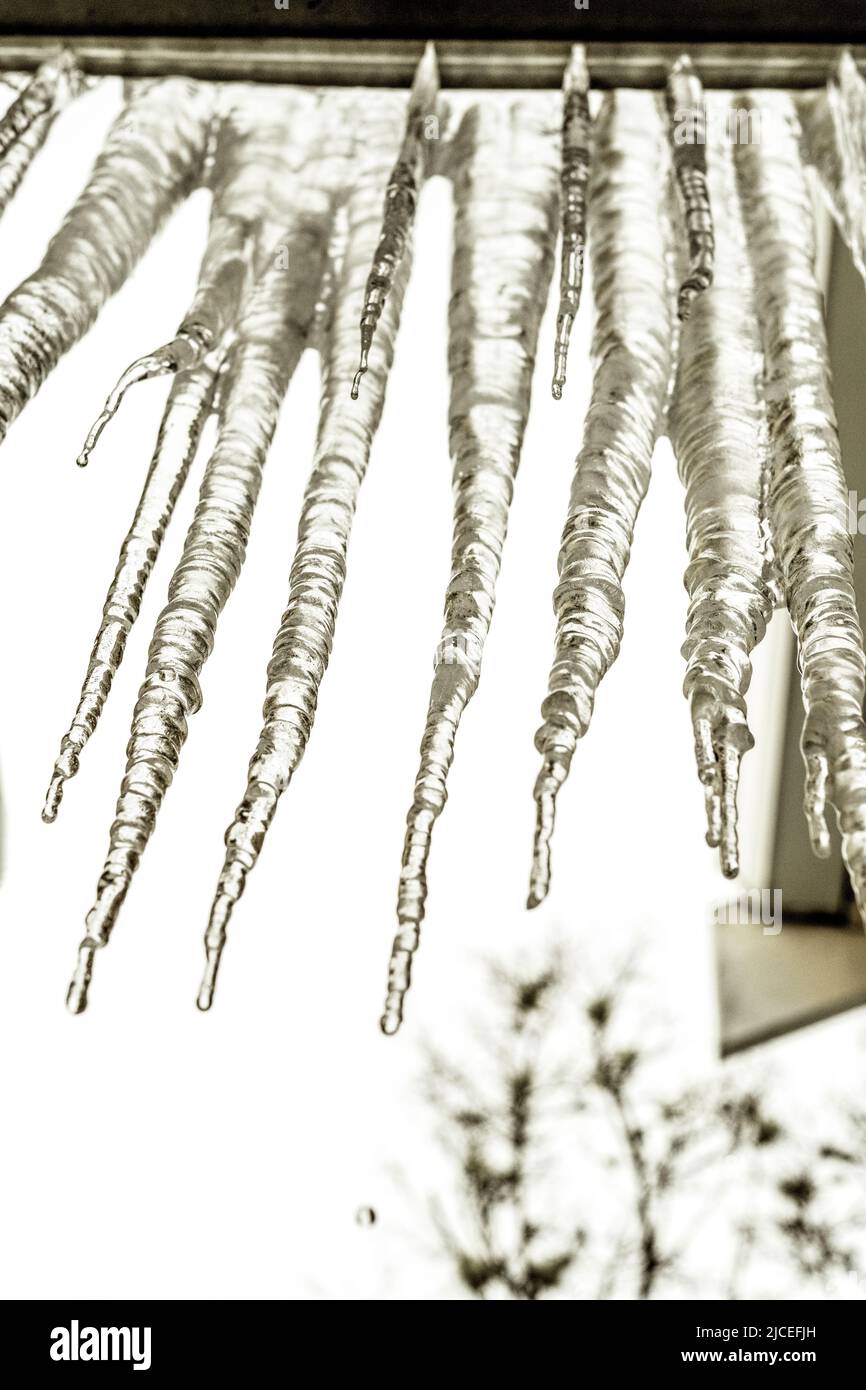 melting icicles hanging from a roof Stock Photo