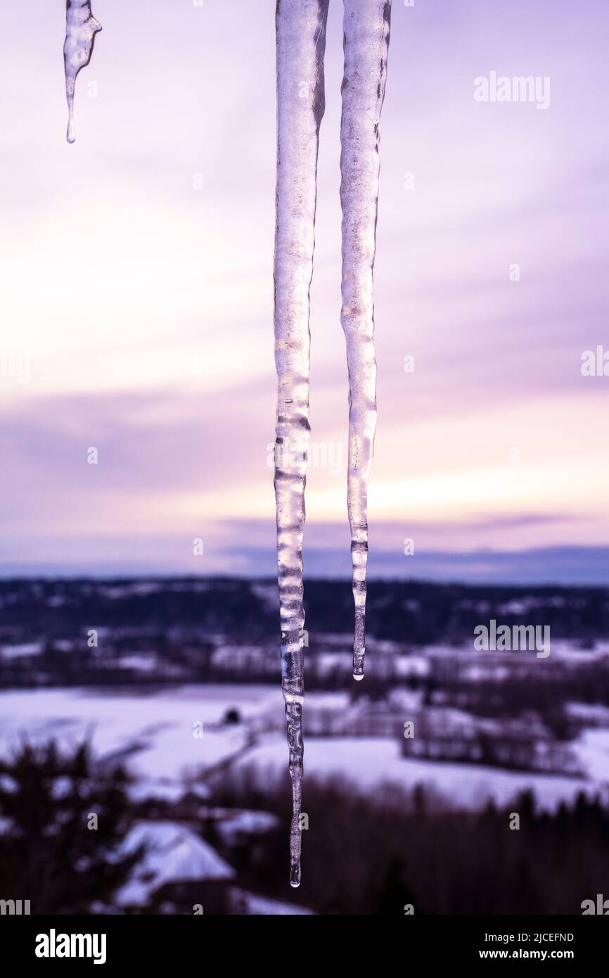 icicles at sunset with a valley in the background Stock Photo
