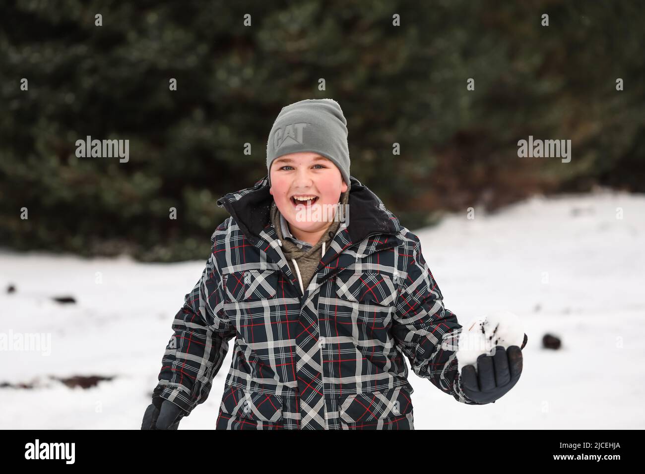 Young boy playing in snowy winter wonderland snowball fight Stock Photo