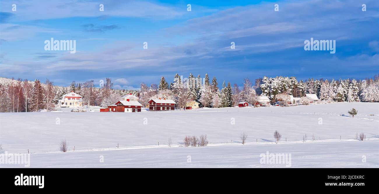 Nordic winter landscape. Panoramic view of the covered with frost trees
