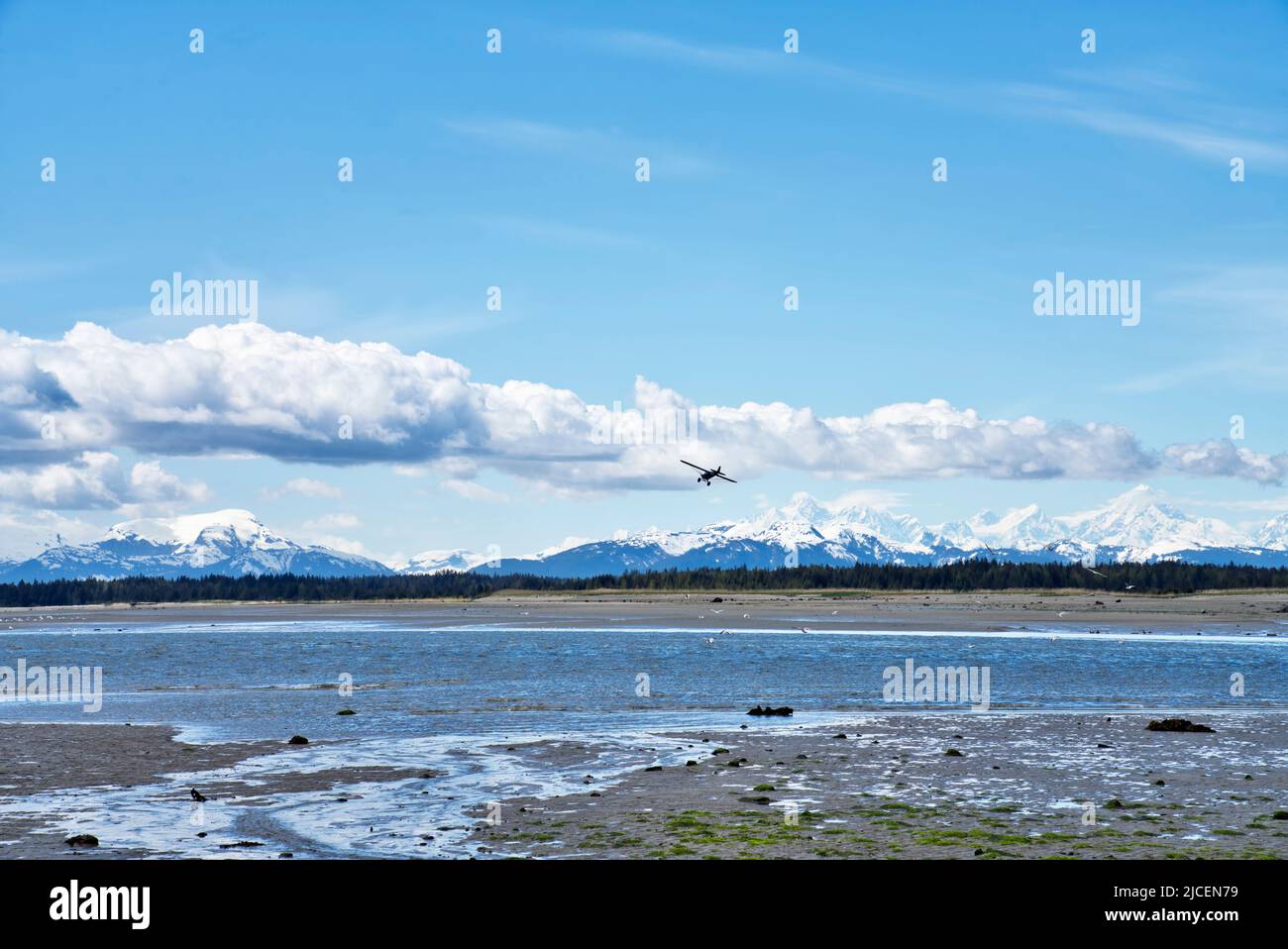 Gustavus alaska hi-res stock photography and images - Alamy