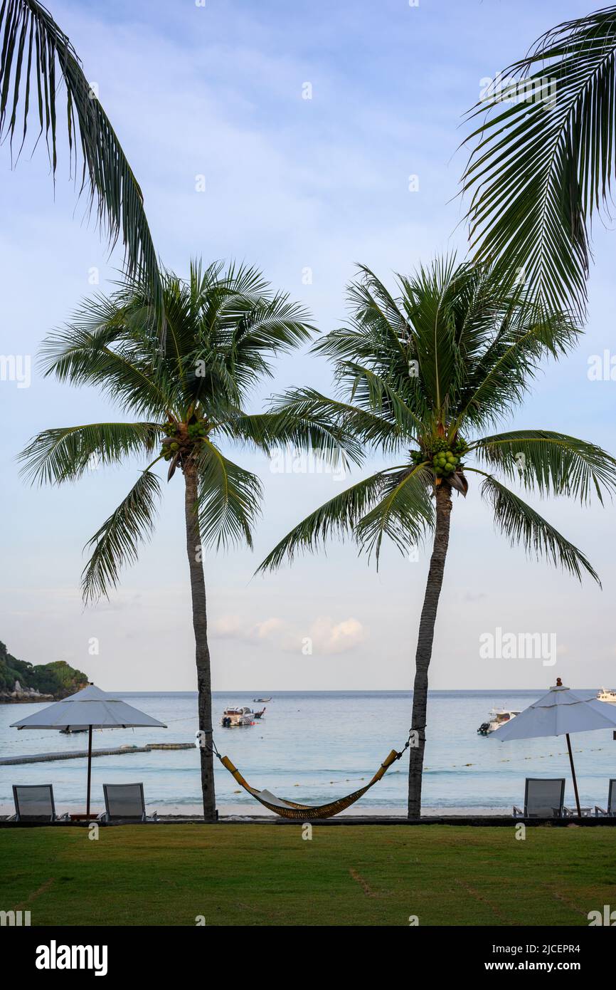 A pair of coconut trees with a cradle tied in the middle. and a beach chair in the morning, looking like a happy smiling face, at the seaside of an is Stock Photo