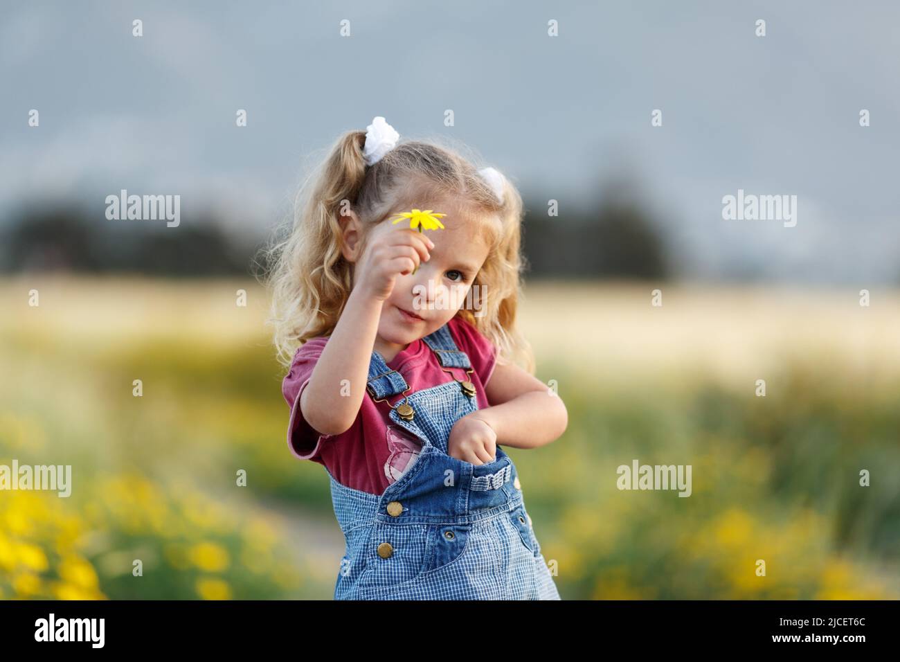 Portrait of happy little girl in a wheat field Stock Photo - Alamy