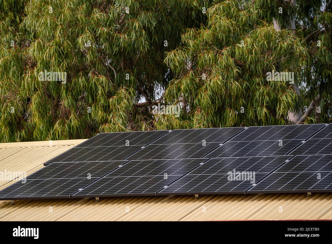 13 June 2022 Solar Panels on rooftops, Adelaide, Australia Stock Photo
