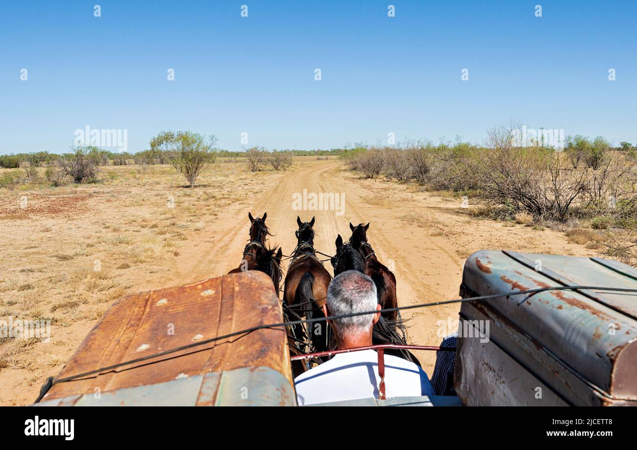 Tourists ride in a Cobb & Co coach pulled by five horses, a popular tourist attraction by Kinnon and Co, Longreach, Queensland, QLD, Australia Stock Photo
