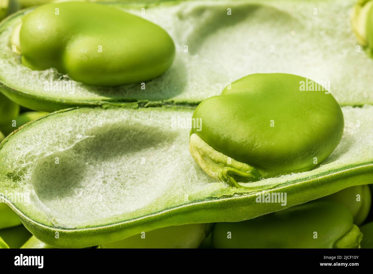Vegetable broad green pod hi-res stock photography and images - Alamy