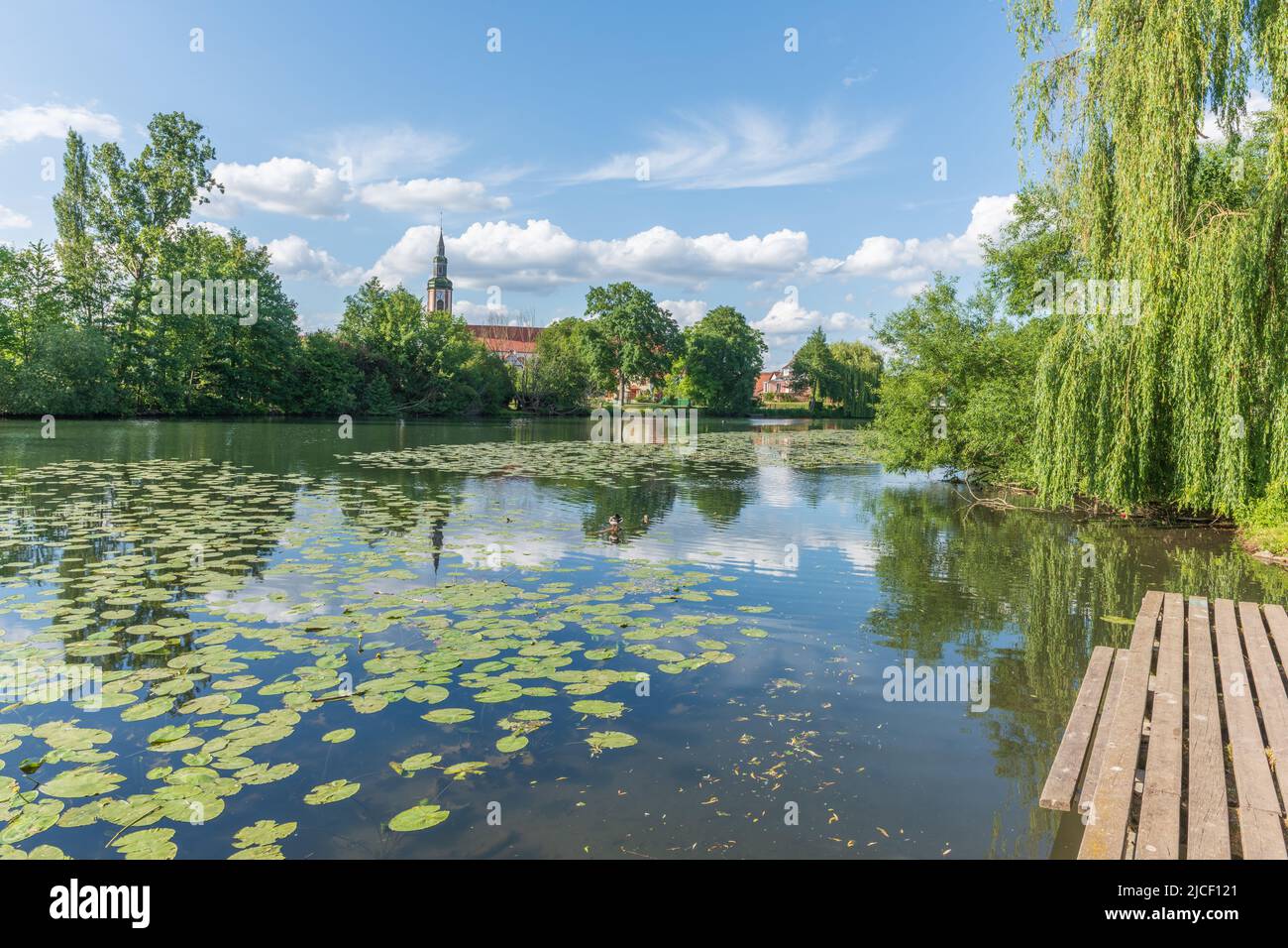 Village by river with water lilies in spring. Huttenheim, Alsace, France. Stock Photo