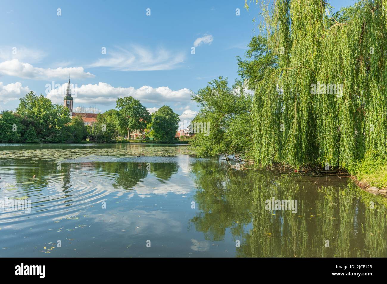 Village by river with water lilies in spring. Huttenheim, Alsace, France. Stock Photo