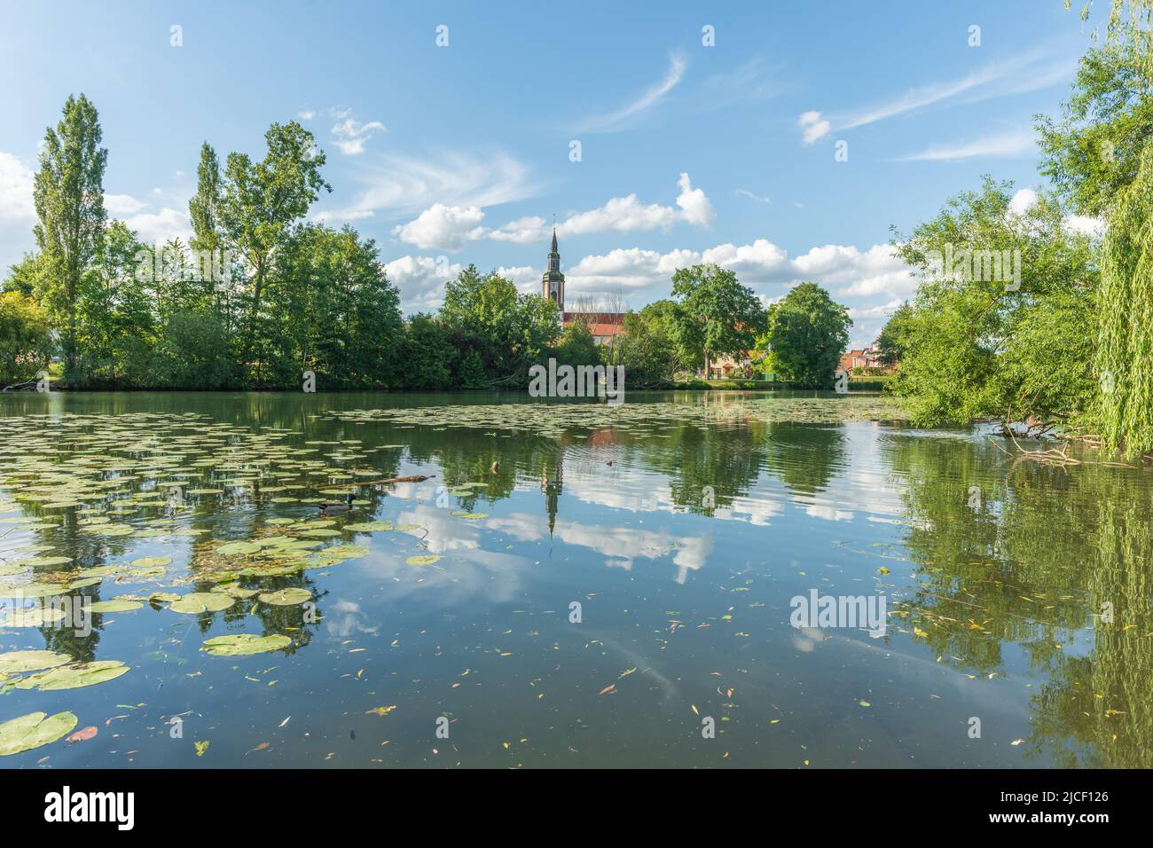 Village by river with water lilies in spring. Huttenheim, Alsace, France. Stock Photo