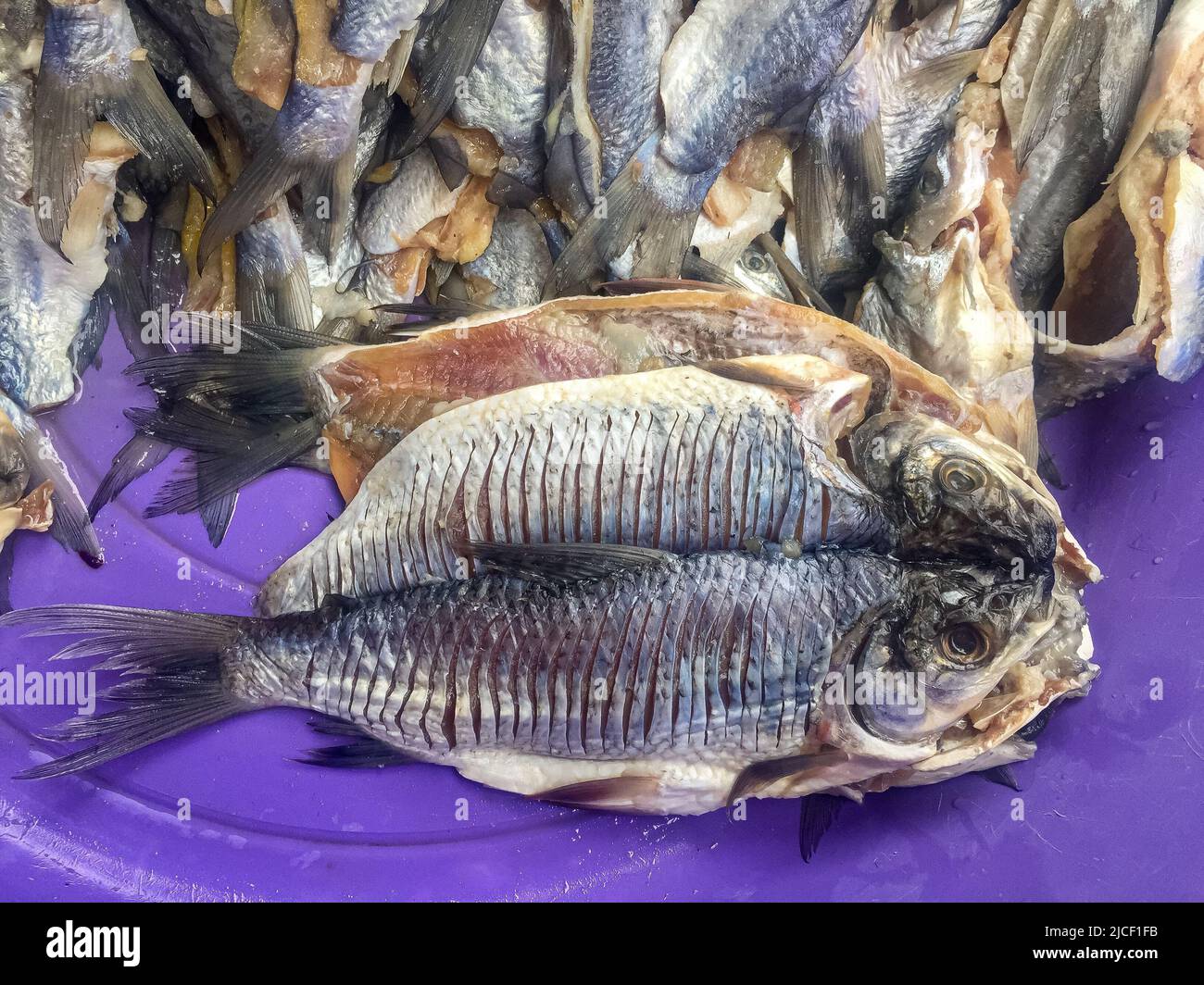 Close-up of dried fishes, more in background, at purple plate at a market, Santa Cruz de Mompox, Colombia, Stock Photo