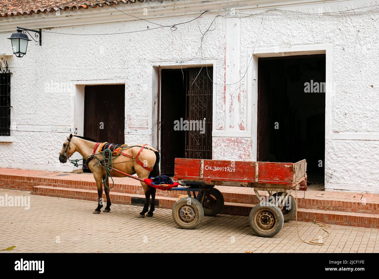 Side view of a horse cart in front of a house entrance at Santa Cruz de Mompox, Colombia, World Heritage Stock Photo