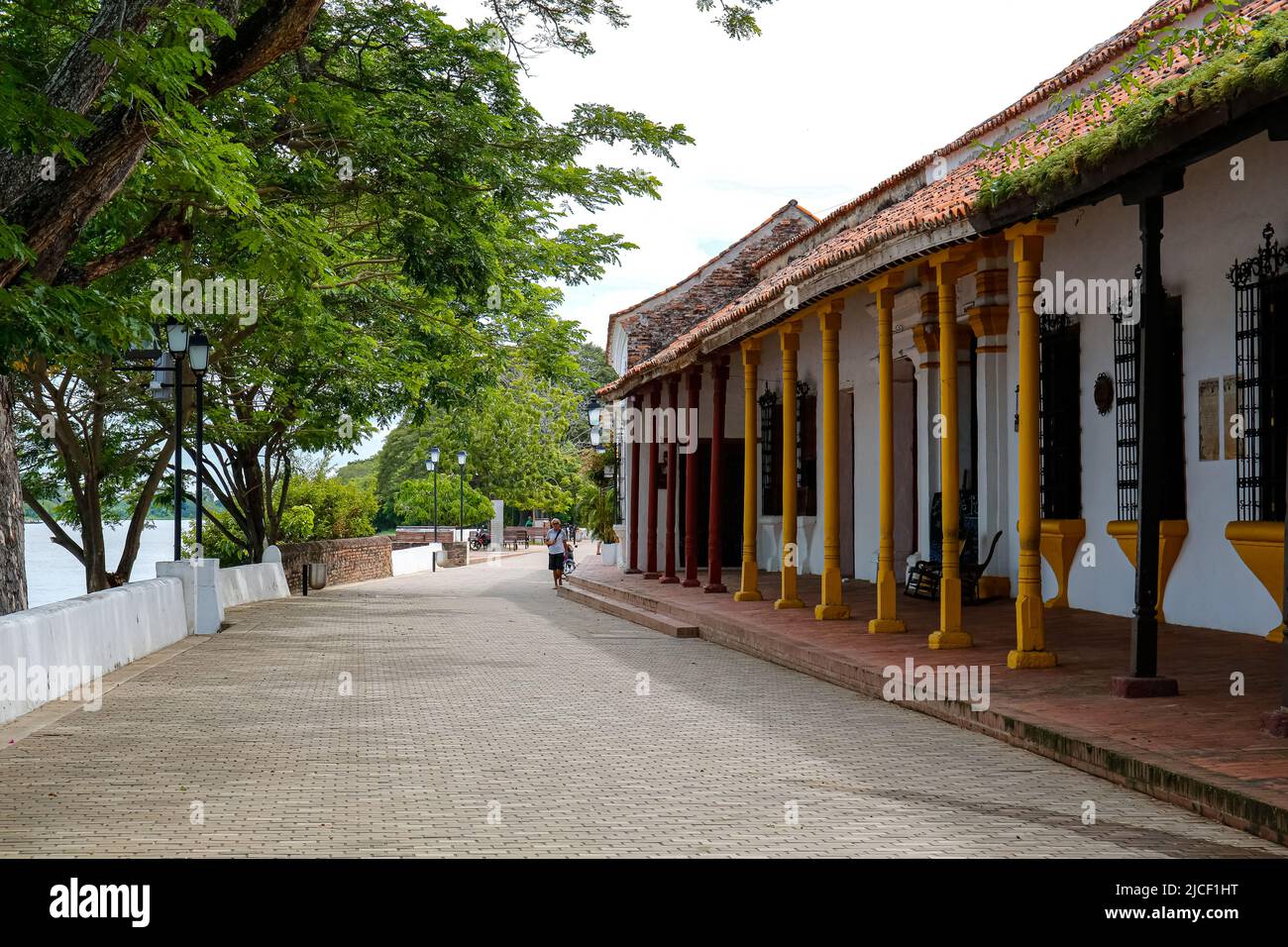 Typical street with historic white buildings, colorful pillars and trees trees of Santa Cruz de Mompox, Colombia, World Heritage Stock Photo