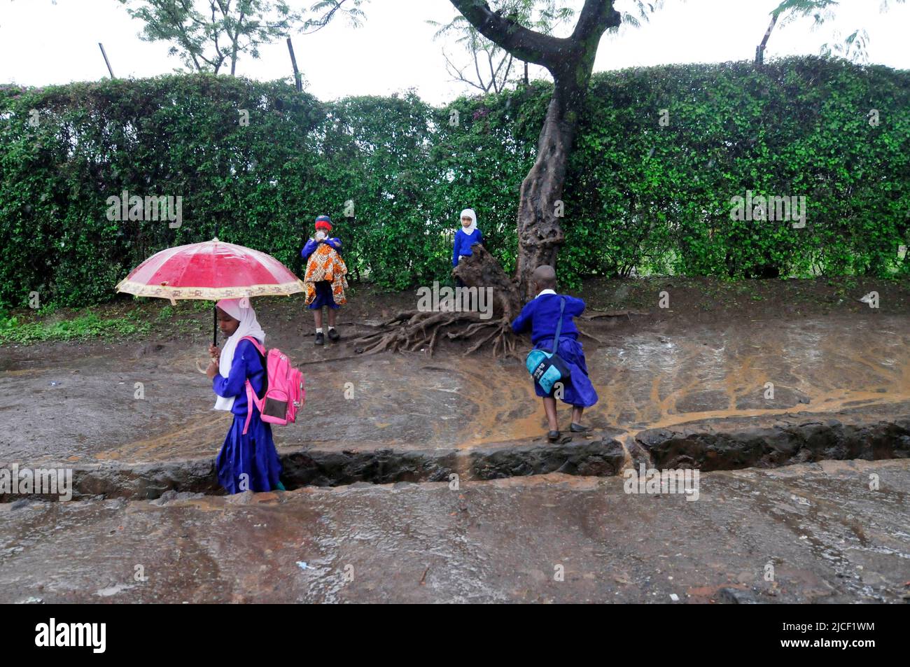 Tanzanian children walking in the heavy rain. Stock Photo