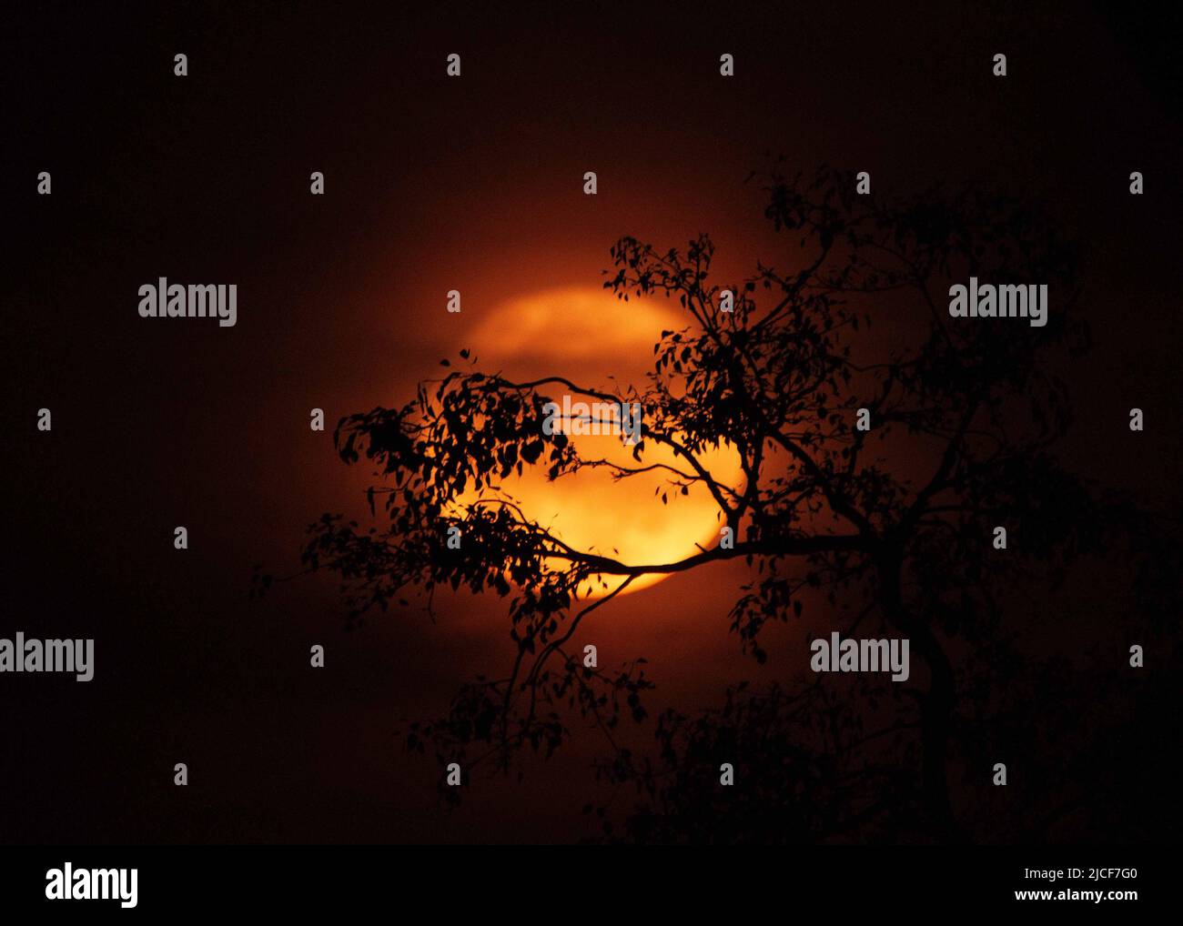 Photo of blood moon hi-res stock photography and images - Alamy