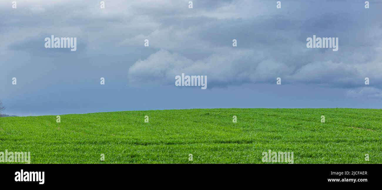 Dark clouds over a green field Stock Photo