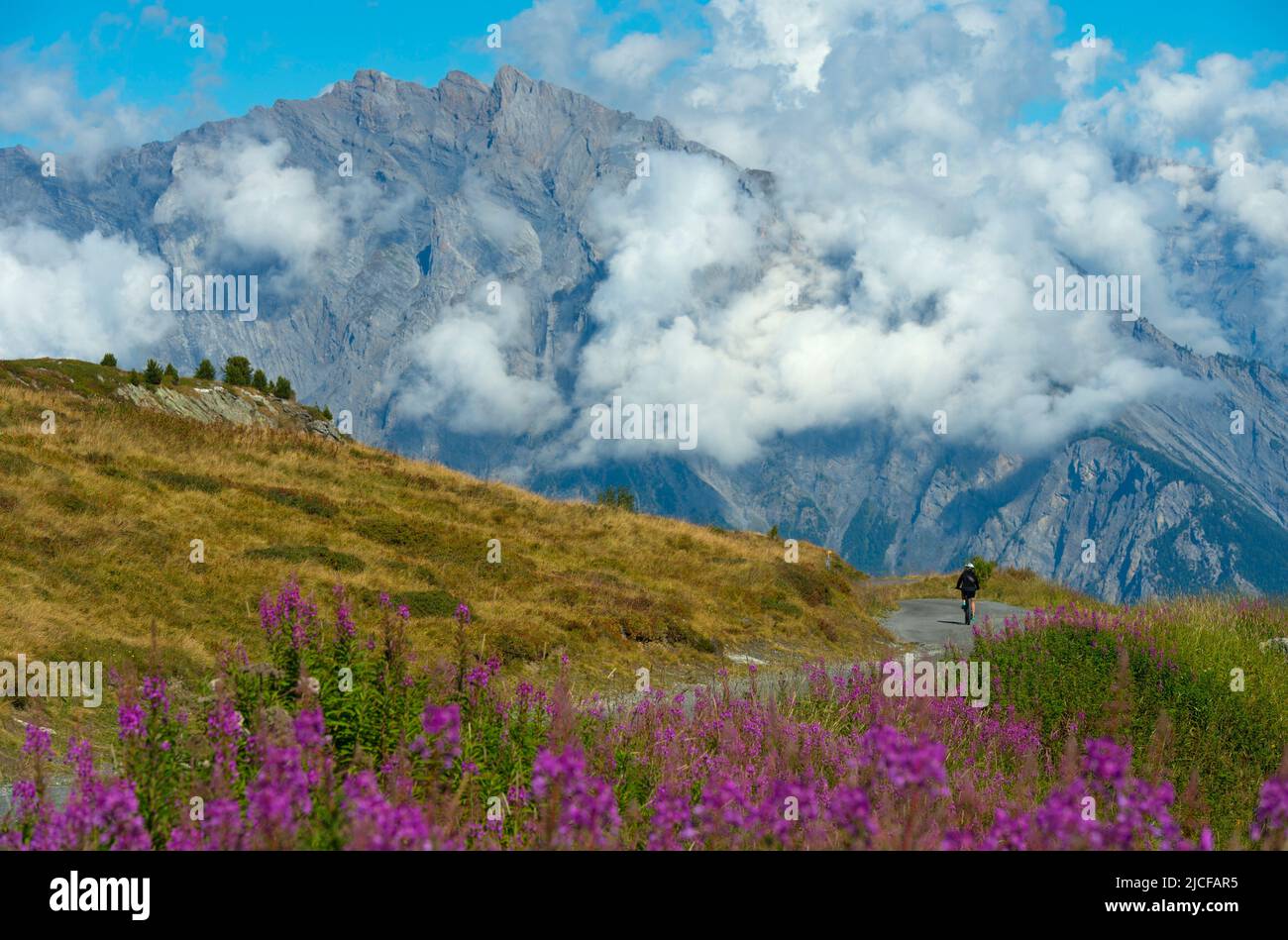 Cyclist on Croix de Coeur pass, behind summit Haut de Cry in Bernese Alps, Croix de Coeur pass, Col de la Croix de Coeur, Verbier, Valais, Switzerland Stock Photo