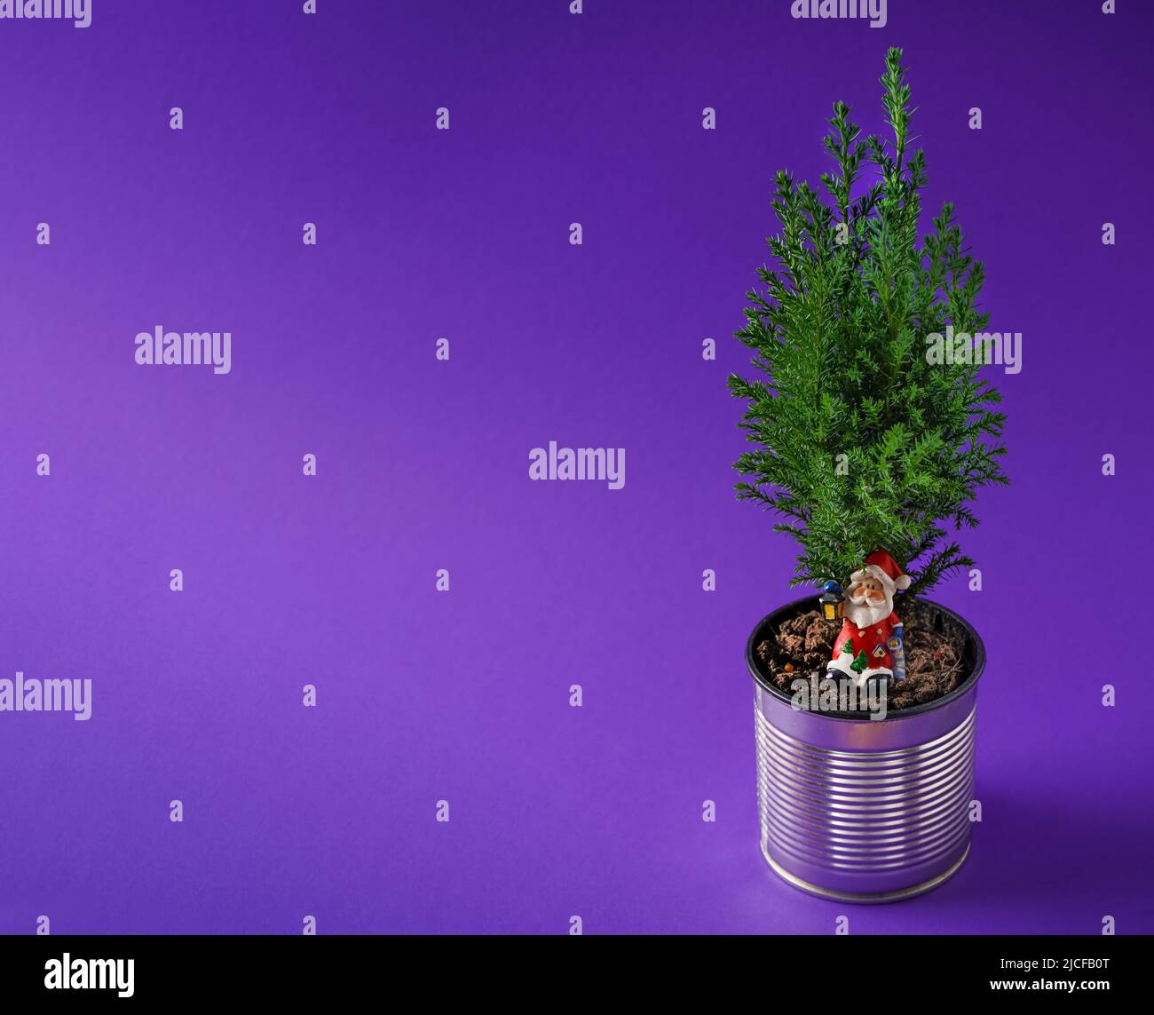 The cypress is green. Coniferous house plant. Christmas tree in a pot. Tin can like a flowerpot. Use of recyclable materials. Violet very peri background with place for text. Toy Santa Claus. Stock Photo