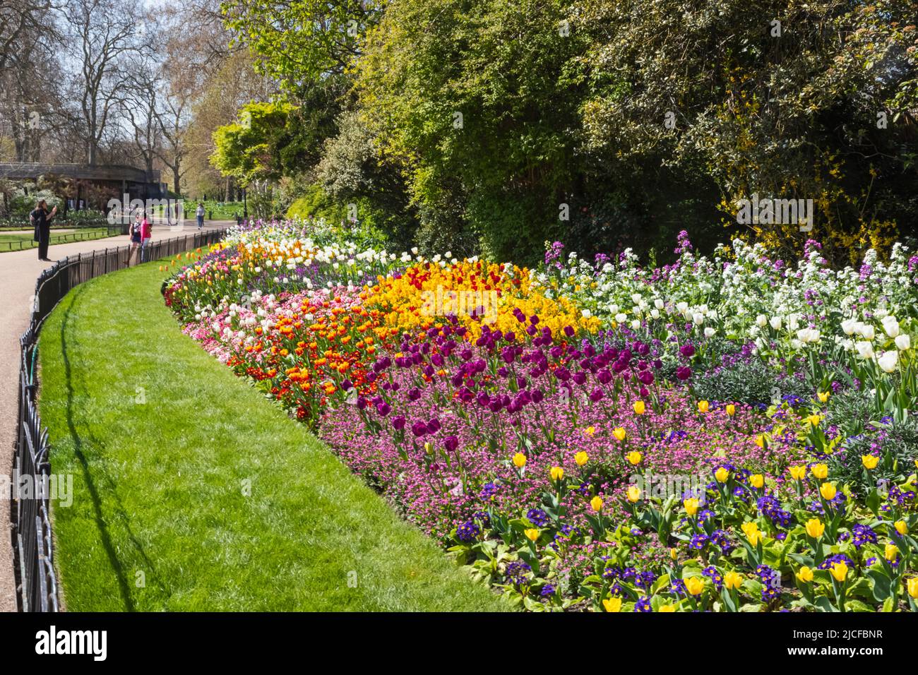 England, London, St.James's Park, Summer Flowers in Bloom Stock Photo