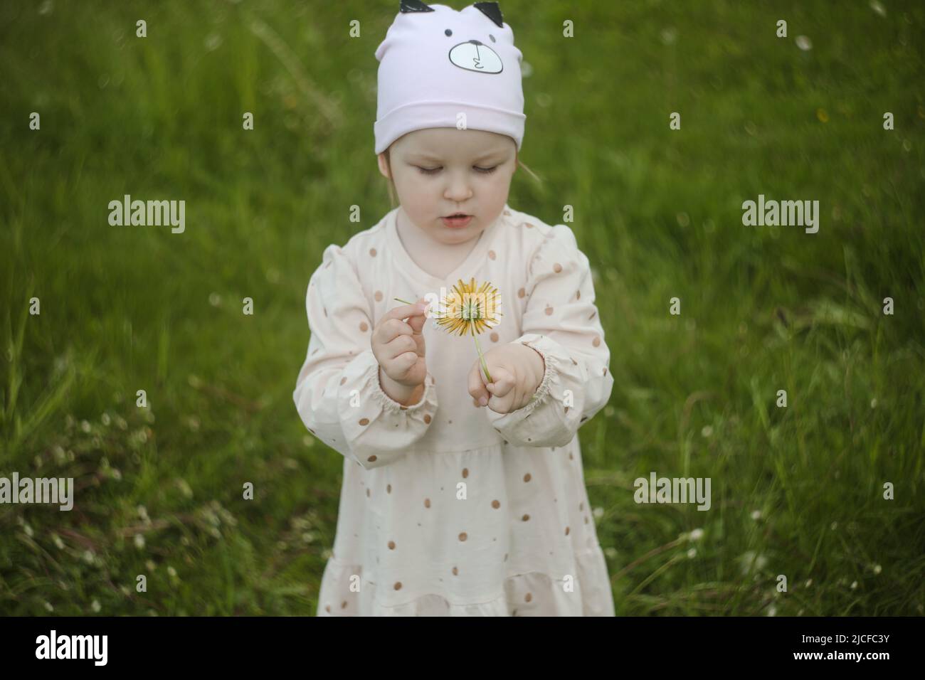 Beautiful child with dandelion flowers in park in summer. Happy kid having fun outdoors. Stock Photo