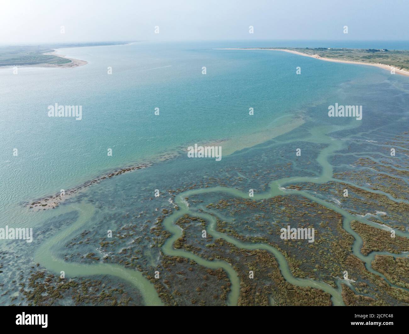Salt marshes in Havre de St Germain sur Ay bay at high tide, spring