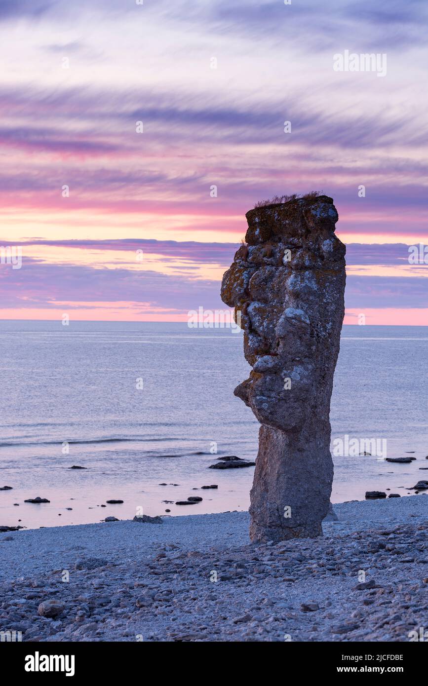 Rough rock in Langhammars nature reserve, evening light, Sweden, Farö island Stock Photo