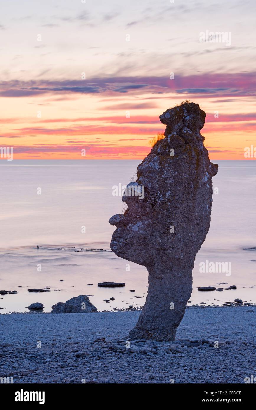 Rough rock in Langhammars nature reserve, evening light, Sweden, Farö island Stock Photo