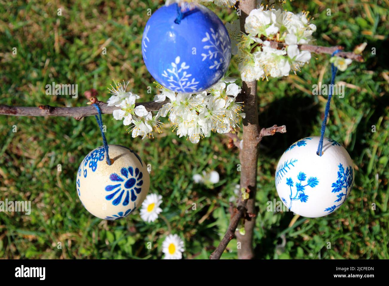 painted easter eggs on a blooming plum tree, spring, springtime, easter, garden, upper bavaria, bavaria, germany Stock Photo