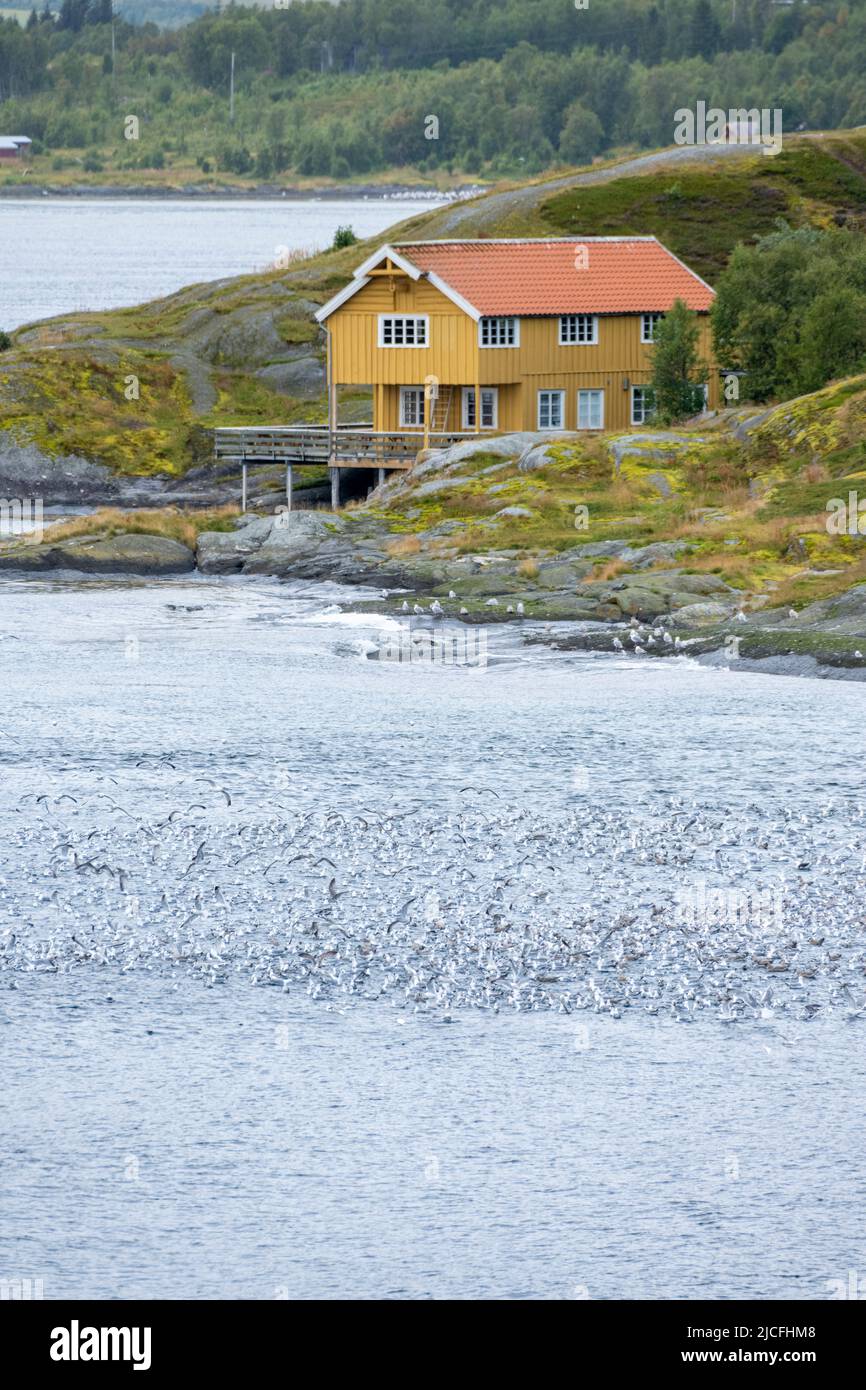 Norway, Troms og Finnmark, typical cottage on the shore, by the small island Ryøya. Stock Photo