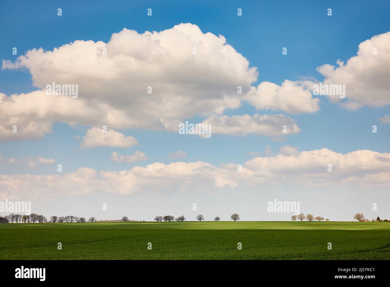 Germany, Mecklenburg-Western Pomerania, Northwest Mecklenburg, field, sky, landscape Stock Photo