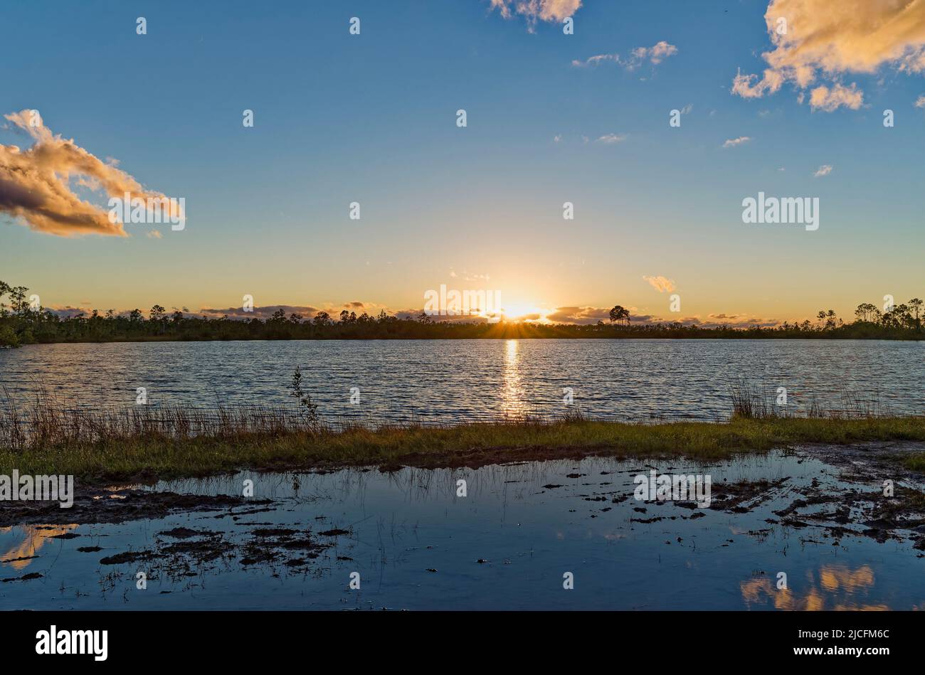 Sunset at Pine Glades Lake. The Everglades National Park. Florida. USA. Stock Photo