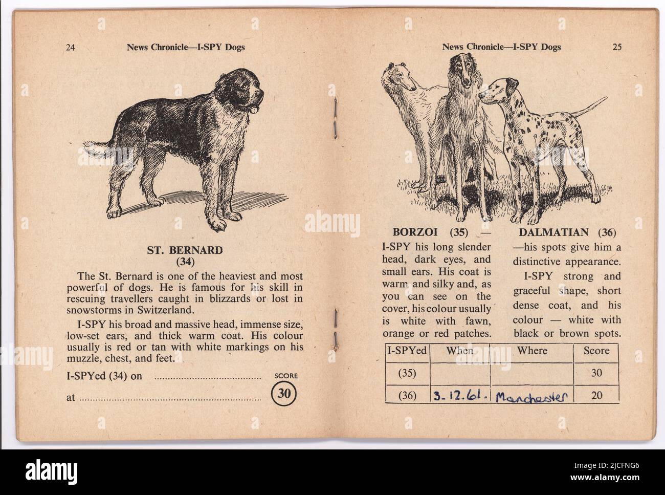 2 open pages of I-Spy Dogs book (I-Spy No 5, 1960-62), published by News Chronicle newspaper, London, UK. Children's observation and recoding game. Stock Photo