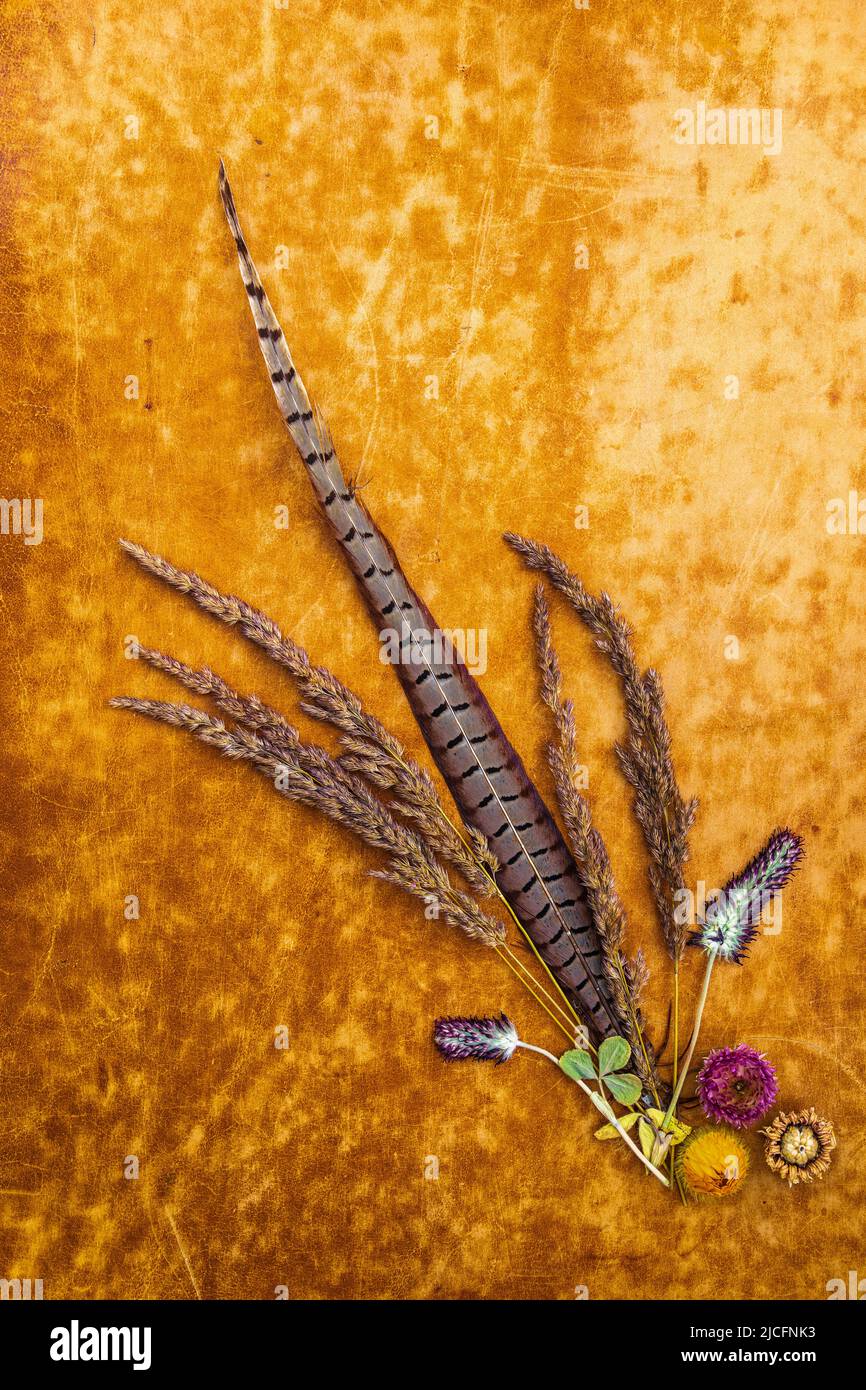 Still life with dried flowers, floral arrangement Stock Photo - Alamy