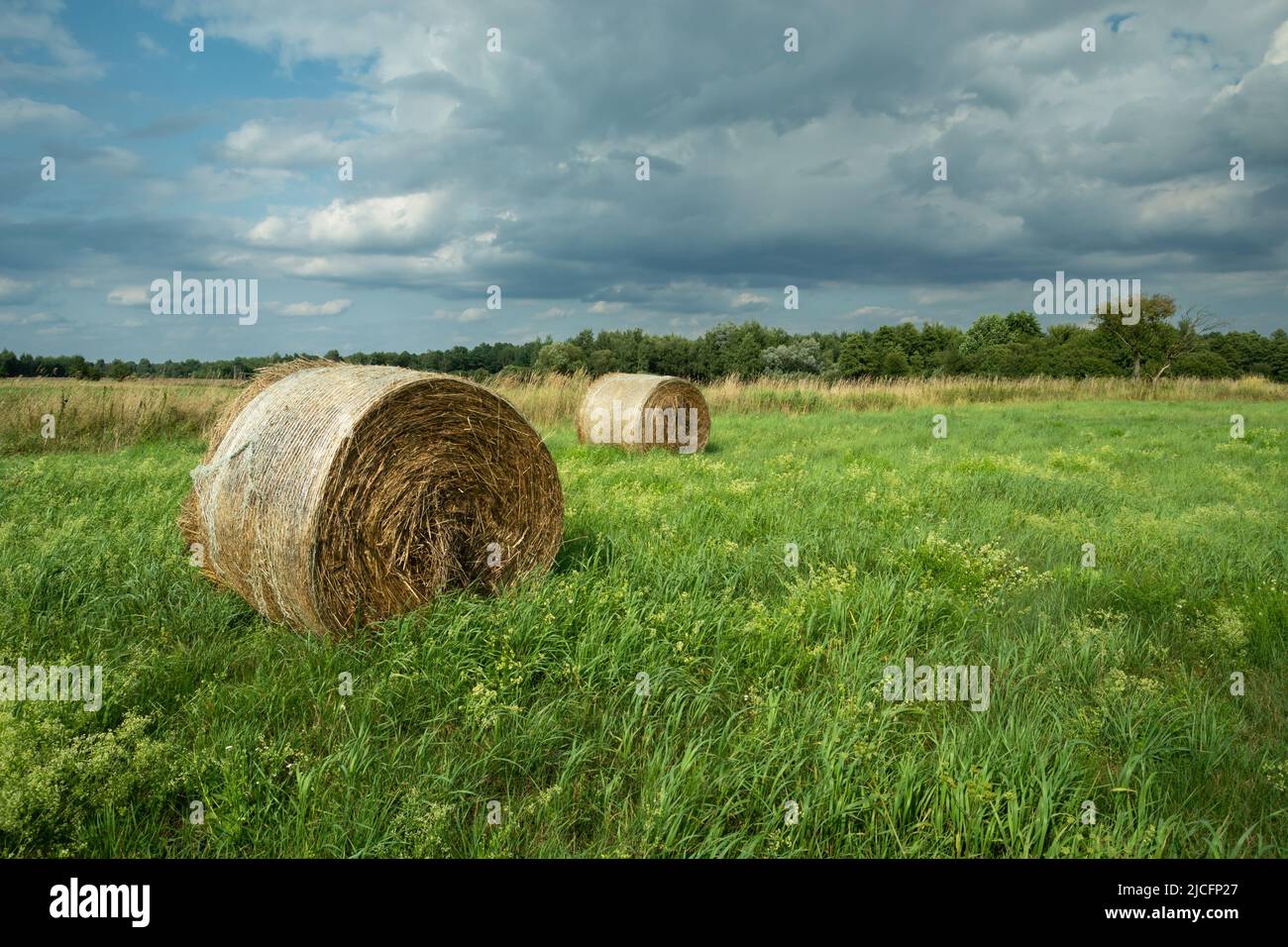 Straw bale in meadow and cloudy sky, rural view Stock Photo