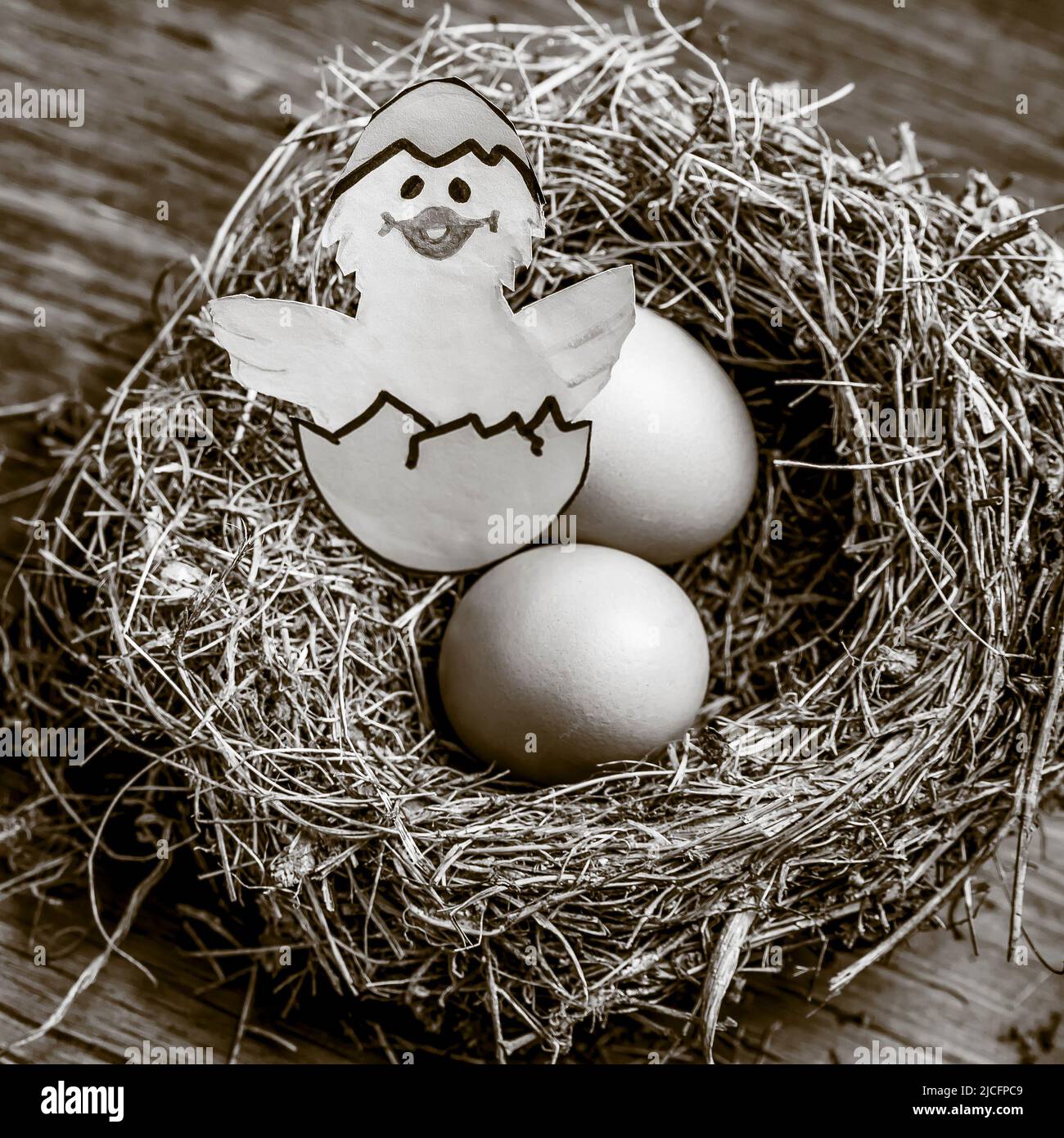 Eggs in a nest with a drawing of a chick coming out of the egg, in ...