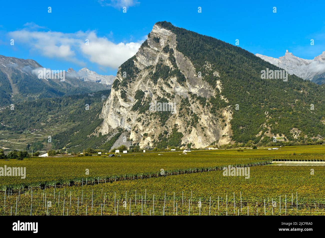 The mountain peak Ardeve towers over the wine growing area Leytron, Valais, Switzerland Stock Photo