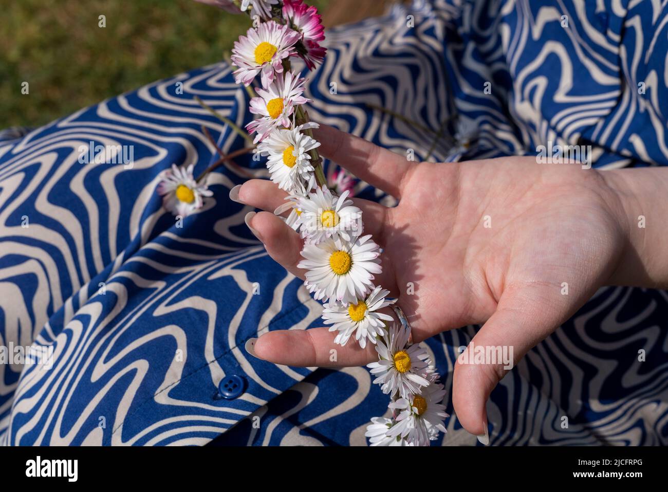 A young woman weaves a flower wreath from daisies. Stock Photo