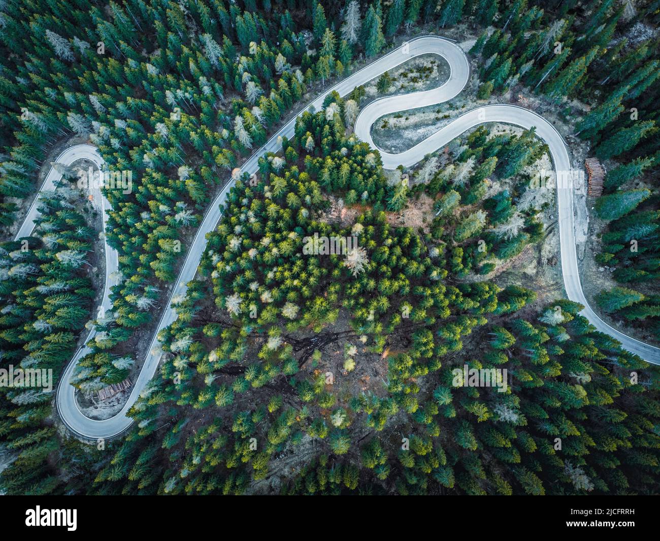 Italy, Veneto, Dolomites, Overhead aerial view on winding road in spring time forest Stock Photo
