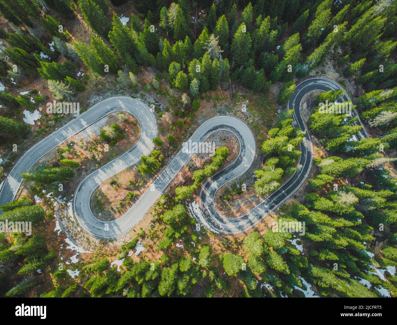 Italy, Veneto, Dolomites, Overhead aerial view on winding road in spring time forest Stock Photo