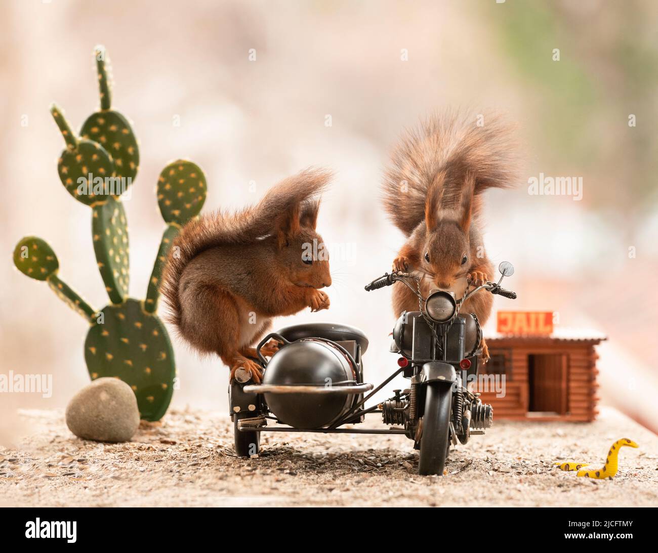 PREORDER long sleeve skinny zipper pocket hoodie | squirrels on bike | organic cotton interlock main image 1