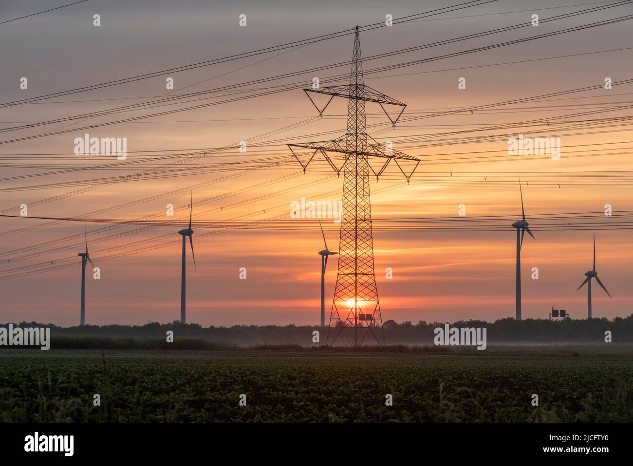 Sunrise, wind turbines, power pole, Irxleben, Saxony-Anhalt, Germany Stock Photo