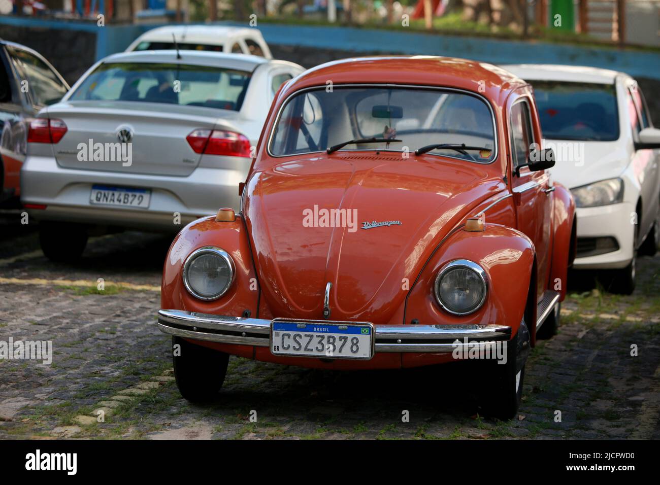 Page 6 - Beetle brazil High Resolution Stock Photography and Images - Alamy