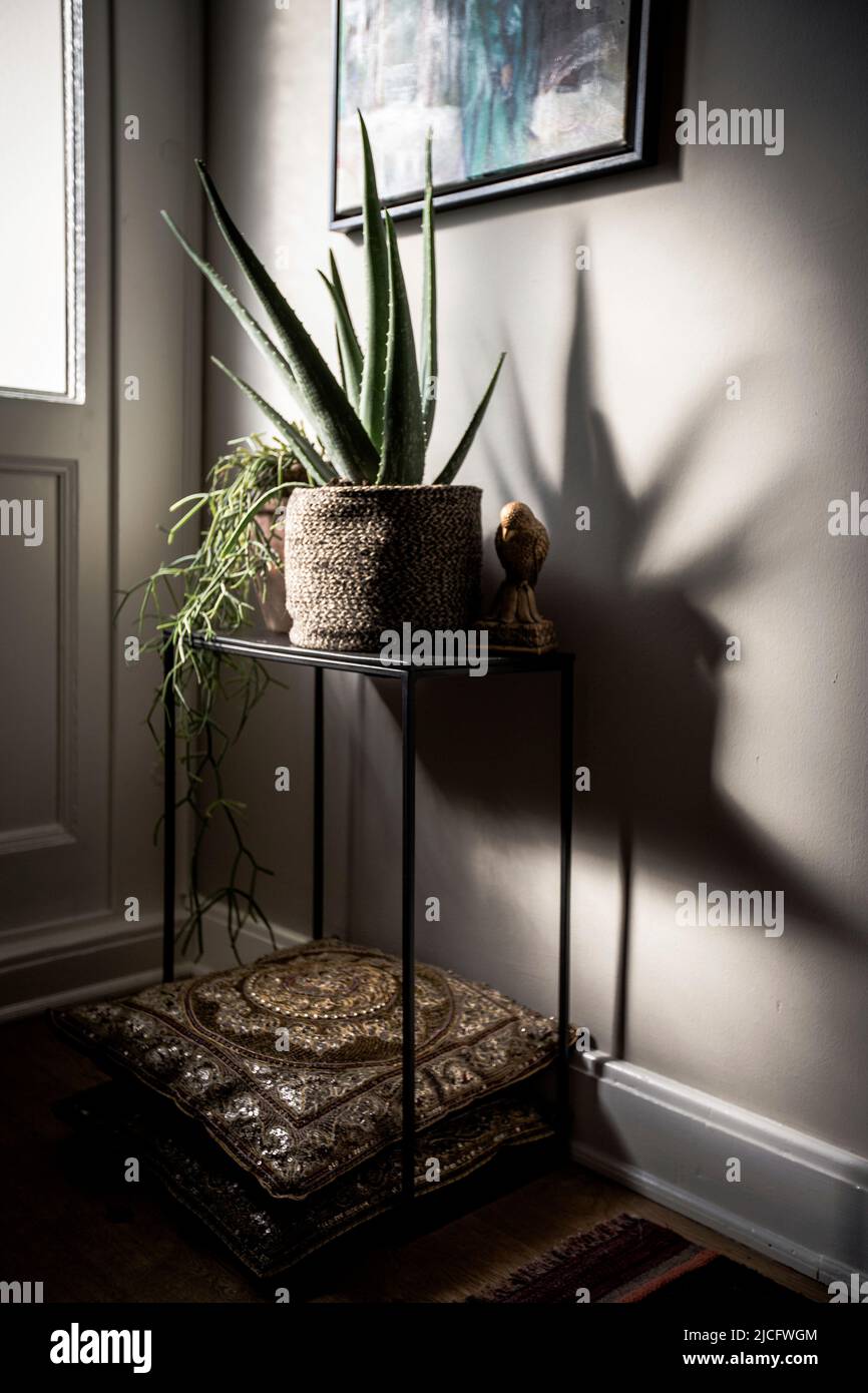 Decorative plants with lights play in an old building apartment Stock Photo