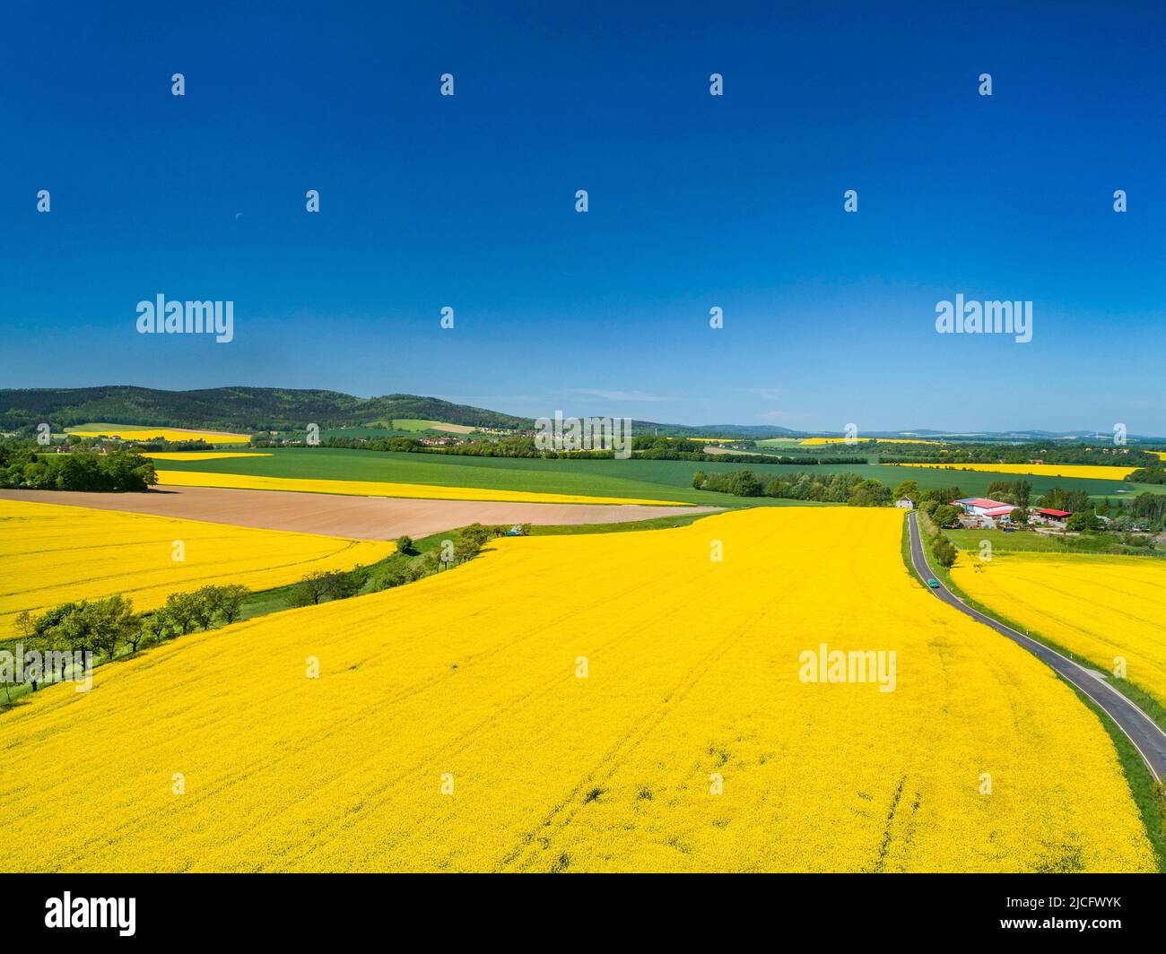 Landscape in Upper Lusatia: Rape fields in the run-up to the Lusatian highlands. The Lausitz area is the landscape between Kamenz in the west and the Königshain mountains in the east. Stock Photo