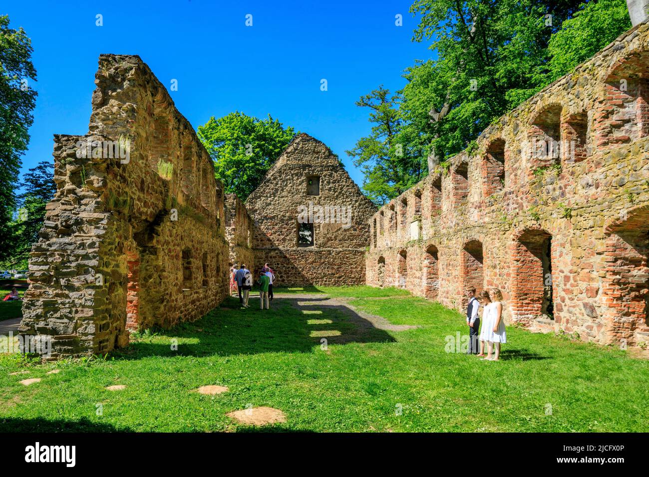 Ruins of the Nimbschen monastery: It was a former Cistercian abbey, immediately south of Grimma in Saxony on the Mulde (1243–1536 / 42). Stock Photo