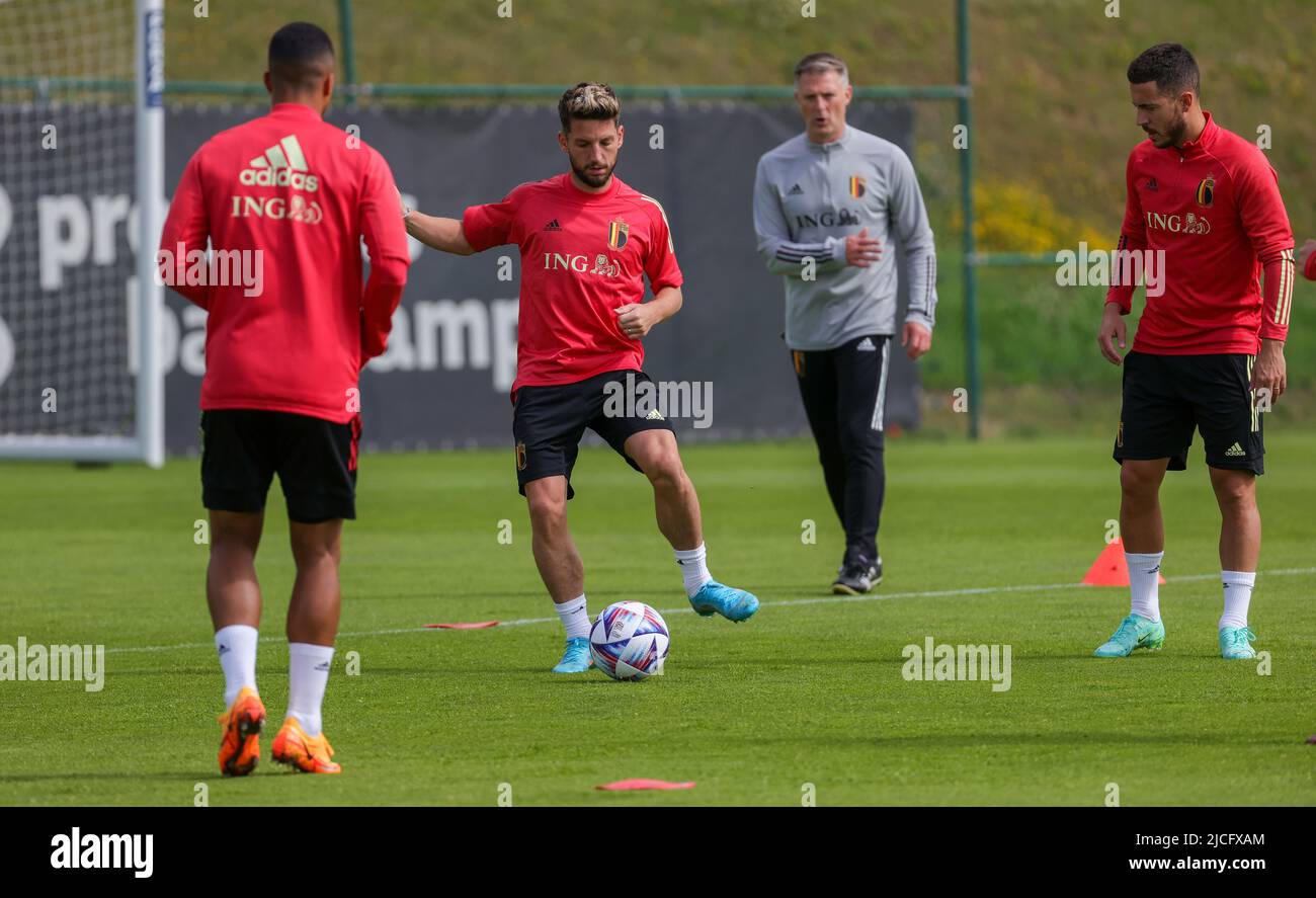 Tubize, belgium, 13/06/2022, Belgium's Dries Mertens pictured during a training session of the Belgian national team, the Red Devils, Monday 13 June 2022 in Tubize, in preparation of the upcoming UEFA Nations League game of tomorrow in Poland. BELGA PHOTO VIRGINIE LEFOUR Stock Photo