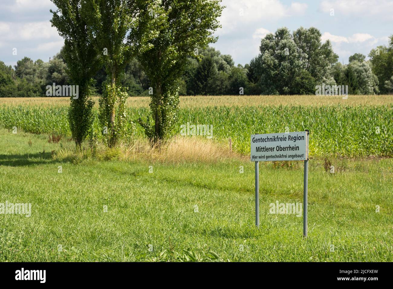 Germany, Baden-Württemberg, Rhine cycle path, sign 'GMO-free region Stock Photo